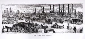 The Levee, New Orleans by American School